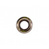 VL40/AS40 WASHER NICKEL PLATED - BAG of 1000